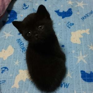 ハルちゃんのプロフィール画像