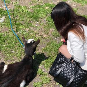 沙羅ちゃんのプロフィール画像