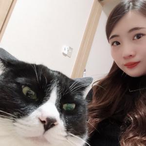 nikoちゃんのプロフィール画像