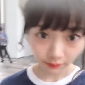 いちこちゃんのプロフィール画像