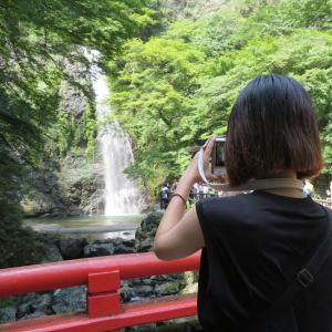 さつきちゃんのプロフィール画像