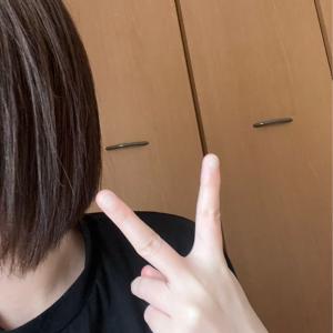 うたちゃんのプロフィール画像