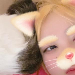 ねこちゃんのプロフィール画像