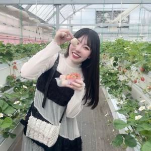 ひめかちゃんのプロフィール画像