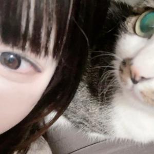 ゆいちゃんのプロフィール画像
