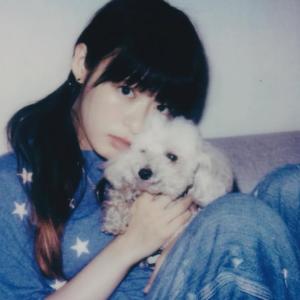 ミクちゃんのプロフィール画像