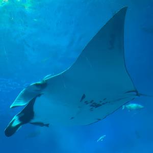 295ちゃんのプロフィール画像