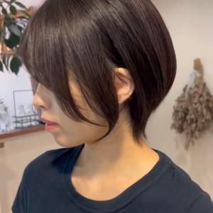 shihoちゃんのプロフィール画像