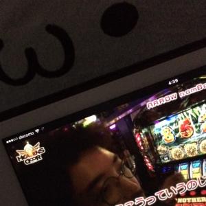 ねこ。のタイムライン640527-06-07 19:18:53投稿画像