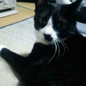 マミのタイムライン640529-11-13 23:15:48投稿画像