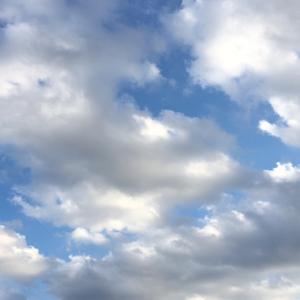 ねこ。のタイムライン640530-06-10 01:41:58投稿画像