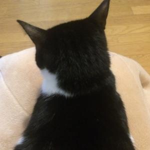 あさこのタイムライン640533-09-04 07:44:06投稿画像