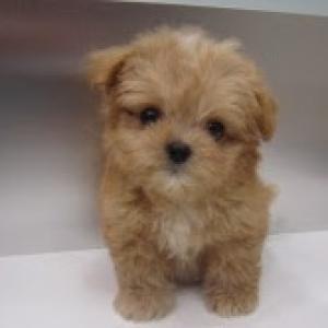 ゆいちのタイムライン640818-09-17 23:09:12投稿画像