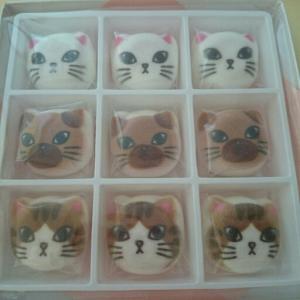 なるみのタイムライン640821-05-16 20:07:13投稿画像