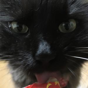 愛菜U^ェ^Uのタイムライン640831-06-13 11:59:11投稿画像