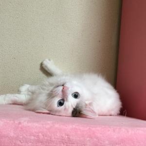 きーちゃんのタイムライン640834-03-27 23:45:26投稿画像