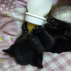 ハルのタイムライン640850-03-07 00:17:14投稿画像