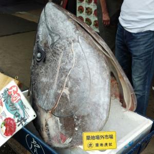 えりこのタイムライン640853-08-18 18:57:18投稿画像