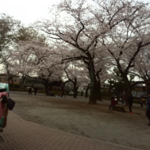 みさのタイムライン641135-05-19 11:39:12投稿画像