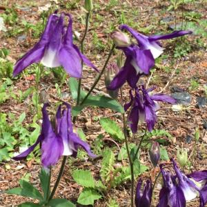 xxゆめxxのタイムライン641148-03-17 17:25:57投稿画像