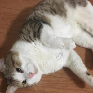 まゆのタイムライン641148-07-01 15:05:10投稿画像