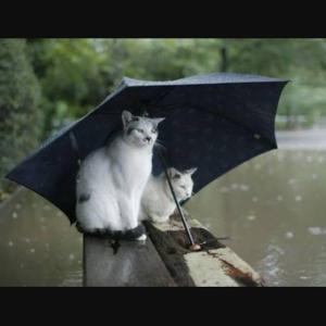 まゆのタイムライン641148-07-12 09:43:36投稿画像