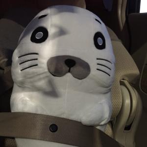 アーちゃんのタイムライン641151-03-23 03:43:51投稿画像