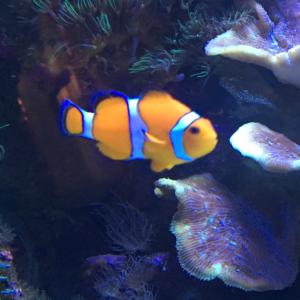 さきのタイムライン641154-05-23 19:42:09投稿画像