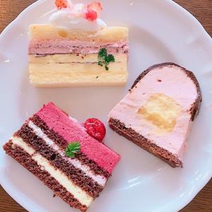 さきのタイムライン641154-06-03 11:30:55投稿画像