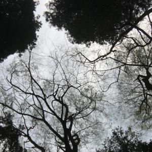 さきのタイムライン641154-08-13 04:59:13投稿画像