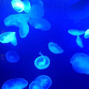 KANAのタイムライン641154-11-01 15:25:42投稿画像