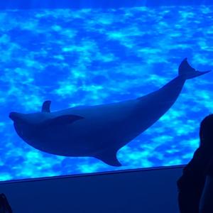 まおのタイムライン641157-06-09 09:50:23投稿画像