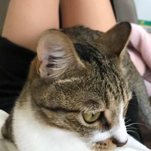 まゆのタイムライン641157-07-23 18:05:12投稿画像