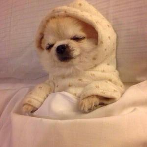 ひよ子のタイムライン641157-12-22 08:30:04投稿画像