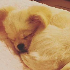 ハルナのタイムライン641160-10-05 15:40:39投稿画像