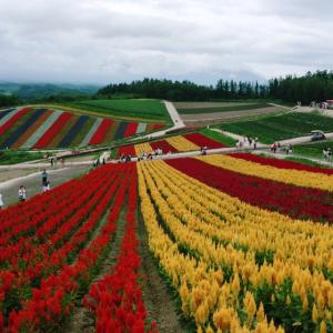 ハルナのタイムライン641160-10-05 18:31:52投稿画像