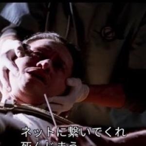 あーにゃのタイムライン641160-11-21 02:10:10投稿画像