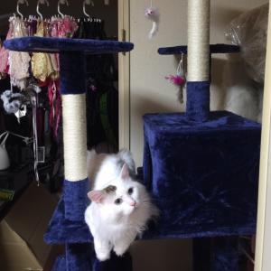 きーちゃんのタイムライン641161-01-28 08:45:06投稿画像