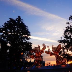 ハルナのタイムライン641161-03-15 02:03:53投稿画像