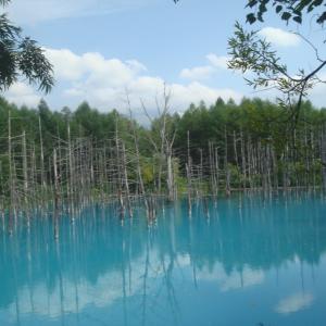 ハルナのタイムライン641161-03-15 02:20:15投稿画像