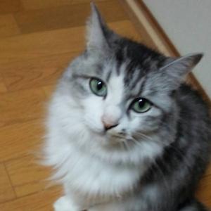 ひあのタイムライン641163-11-01 15:27:20投稿画像