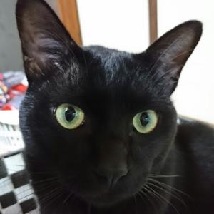 ハルのタイムライン641167-01-01 02:38:35投稿画像