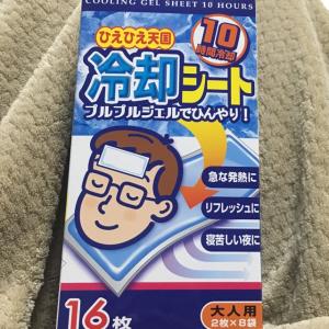 ぴよぴよのタイムライン641167-01-25 18:06:44投稿画像