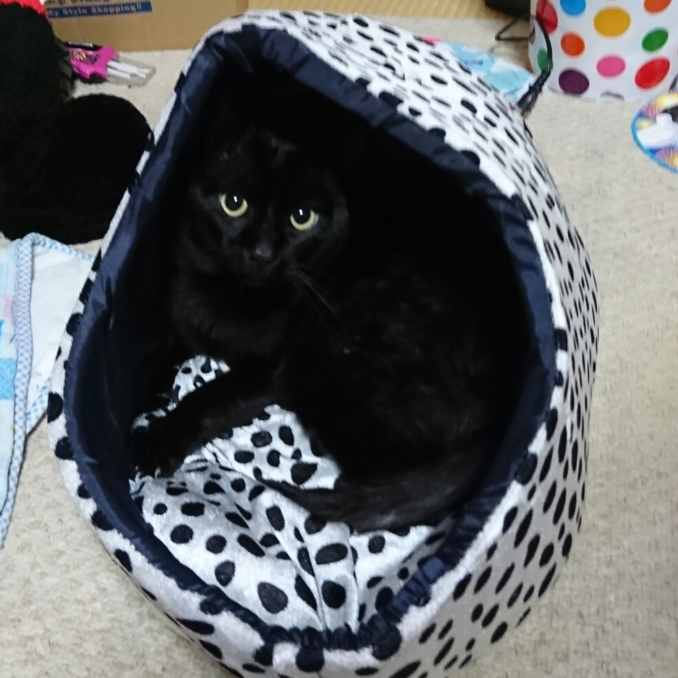 ハルのタイムライン641170-05-24 14:58:44投稿画像