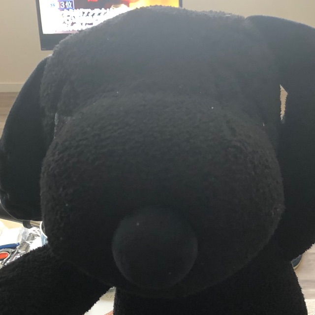 さくらのタイムライン641170-06-16 03:16:49投稿画像