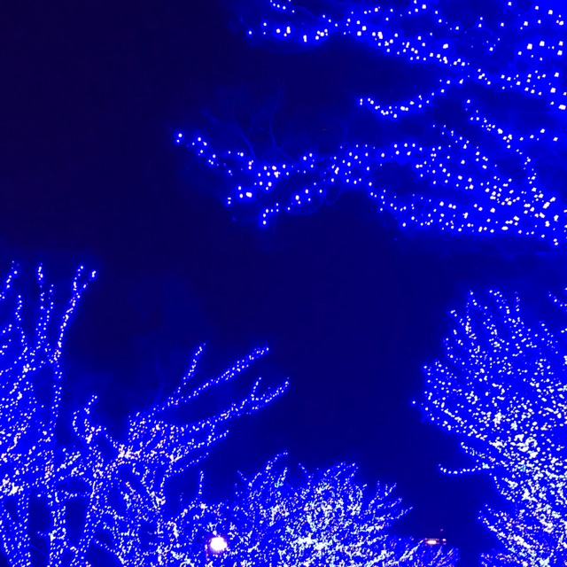 かなでのタイムライン641170-10-10 14:24:06投稿画像