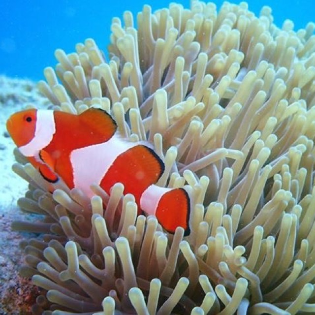 ぴよぴよのタイムライン641452-03-15 14:51:48投稿画像