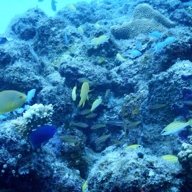 ぴよぴよのタイムライン641452-04-19 10:59:02投稿画像