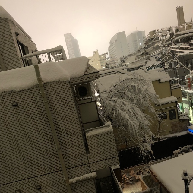 Ricoのタイムライン641452-08-12 19:10:26投稿画像