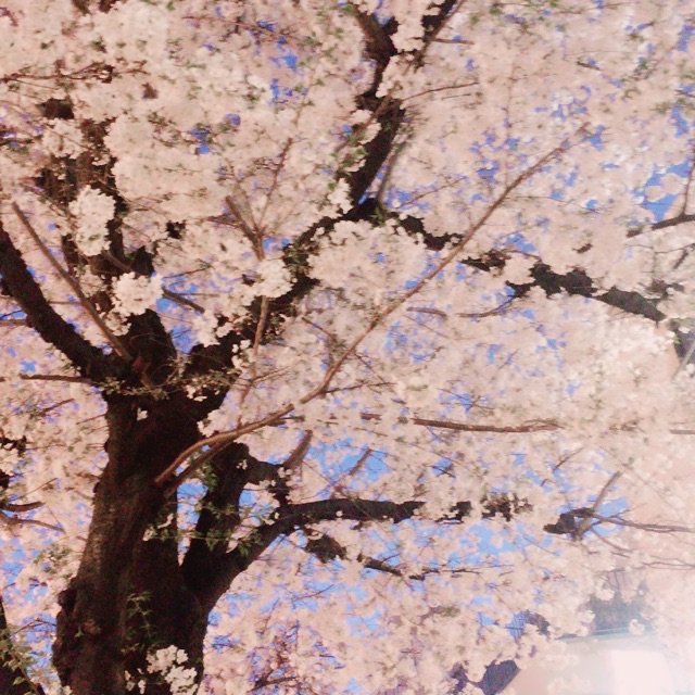 れな様（S）のタイムライン641458-04-27 10:40:50投稿画像